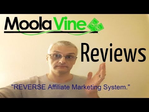 MoolaVine Reviews – Reverse Affiliate Marketing System post thumbnail image