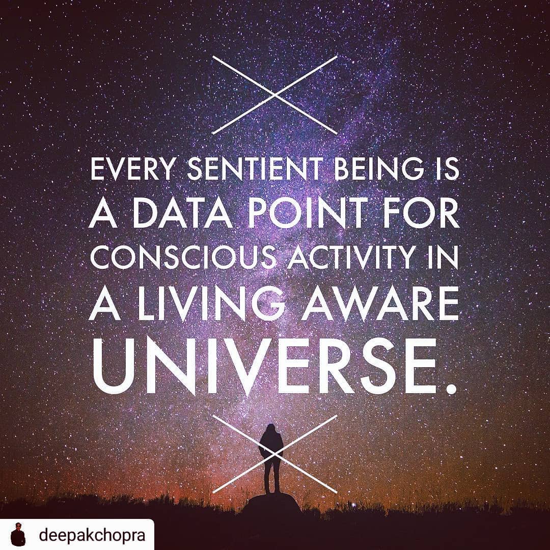 #Repost @deepakchopra
• • • • •
You Are the Universe.
.
Follow my blog for Inter… post thumbnail image