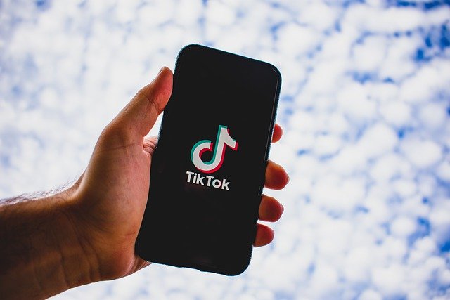 The Best Ideas For TikTok Videos And How To Increase Your Following post thumbnail image